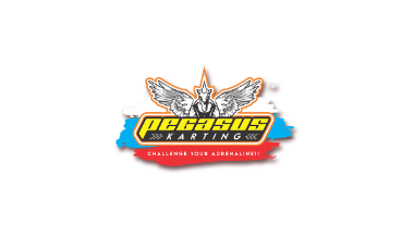 Loker Digital Marketing Supervisor di PT. Pegasus Karting